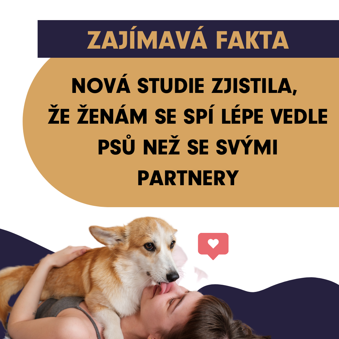 zajimava fakta o psech